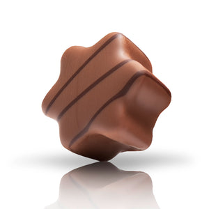 Lebkuchenstern
